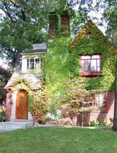 front_1