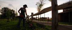 featured_bd_trimmer