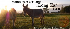 long_ear_farm