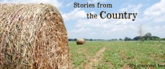 stories_country