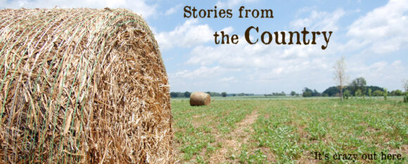 stories_country