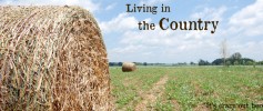 living_in_country