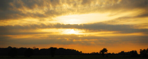 feature_sunset