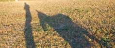 featured_follow_leader