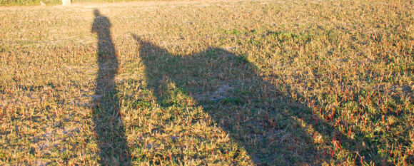 featured_follow_leader featured_follow_leader