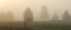 featured_misty_country_morning
