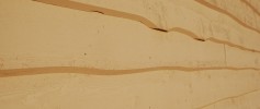 featured_wavy_edge