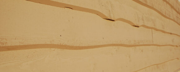 featured_wavy_edge featured_wavy_edge
