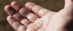 featured_fried_hands