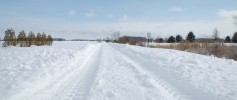 DSC_0181_sm