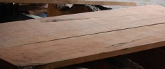 featured_mesquite