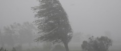 featured_storm