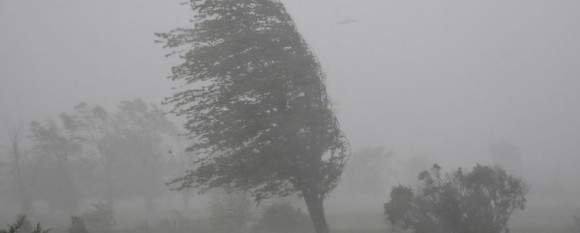 featured_storm