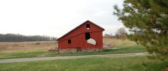 featured_future_donkey_barn
