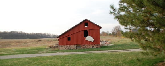 featured_future_donkey_barn