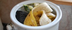 featured_kitchen_compost-1