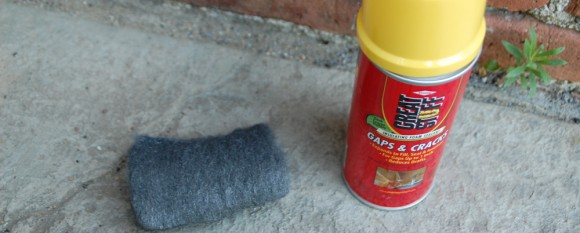 featured_mouse_deterrent
