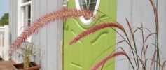 featured_liberty_back_entrance