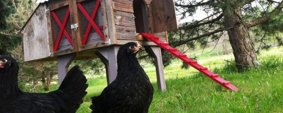 featured_nugget_barn